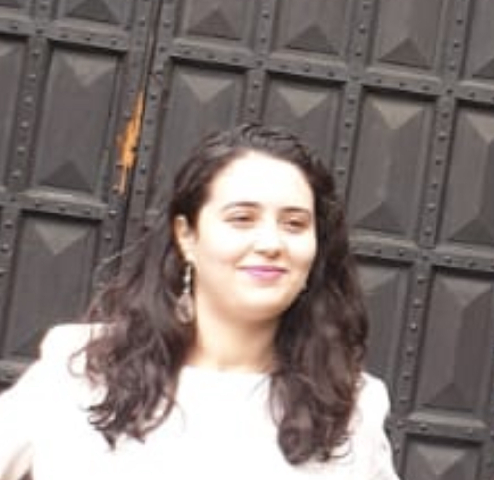 Sara Qasmi